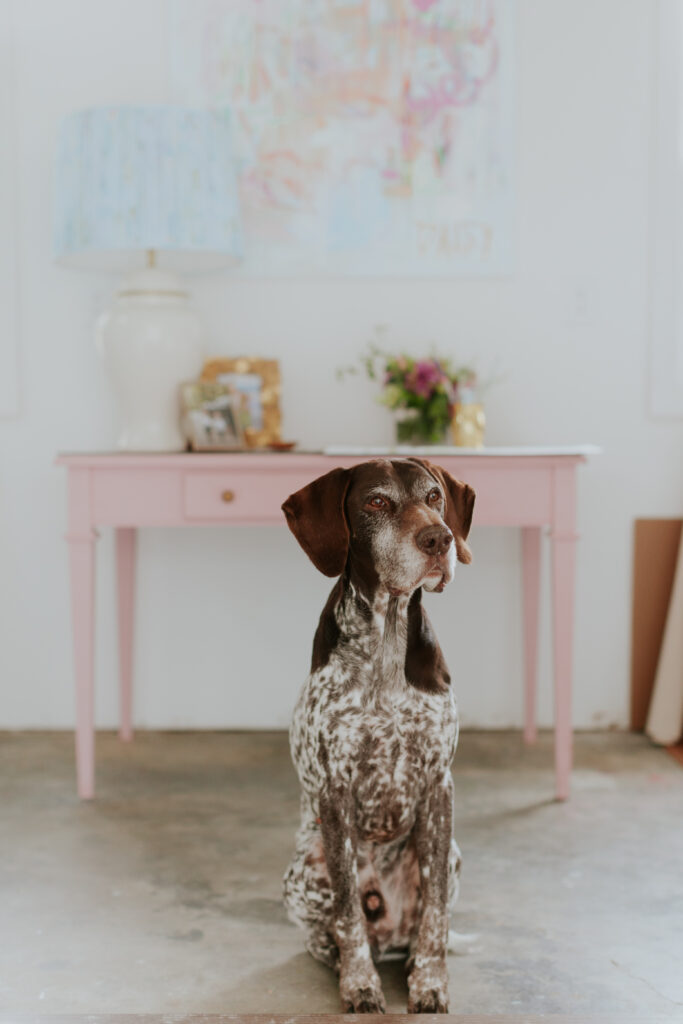 artist-brand-photo-dog-in-home-studio-southpark-charlotte